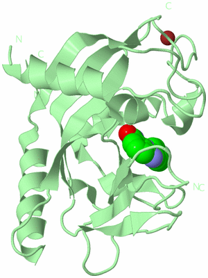 Image Biological Unit 2