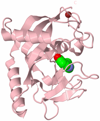 Image Biological Unit 3