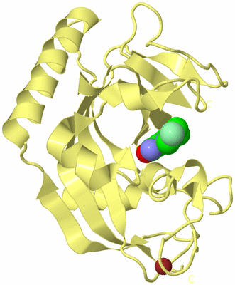 Image Biological Unit 4