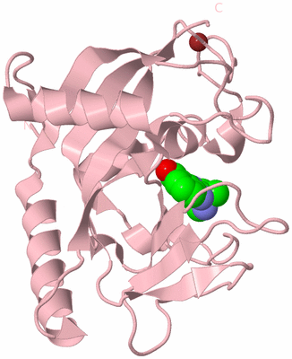 Image Biological Unit 3