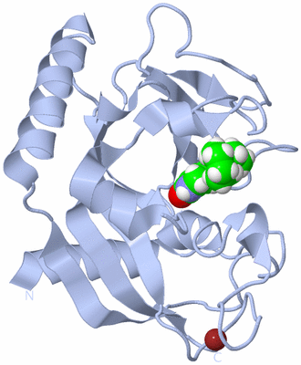 Image Biological Unit 1