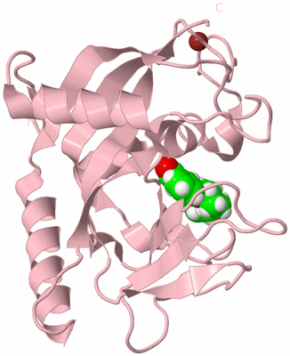 Image Biological Unit 3