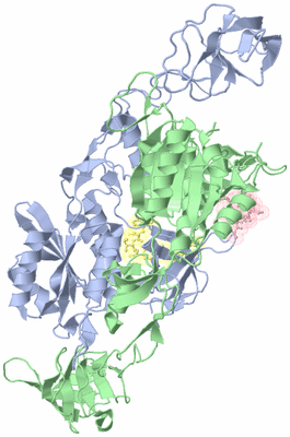 Image Asym./Biol. Unit