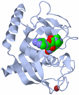 Image Biological Unit 1