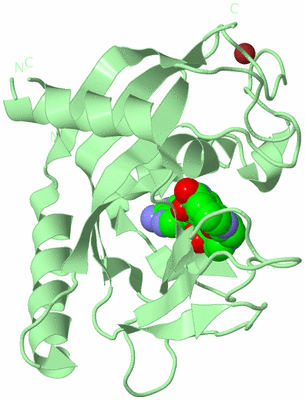 Image Biological Unit 2