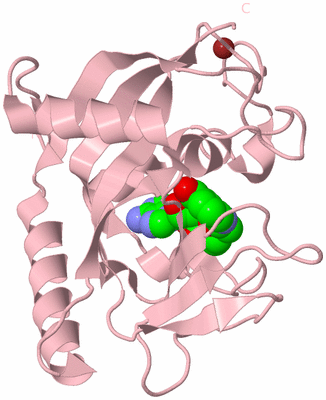 Image Biological Unit 3