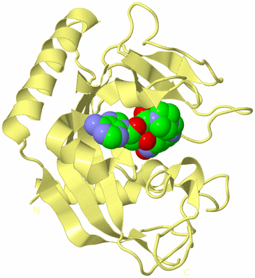 Image Biological Unit 4