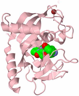 Image Biological Unit 3