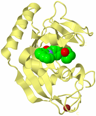 Image Biological Unit 4