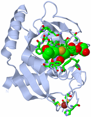 Image Biol. Unit 1 - sites