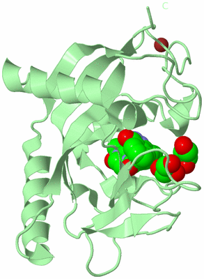 Image Biological Unit 2