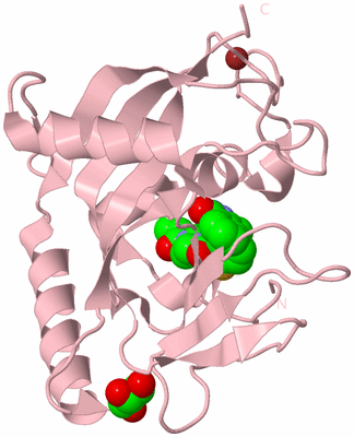 Image Biological Unit 3