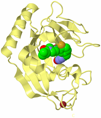 Image Biological Unit 4