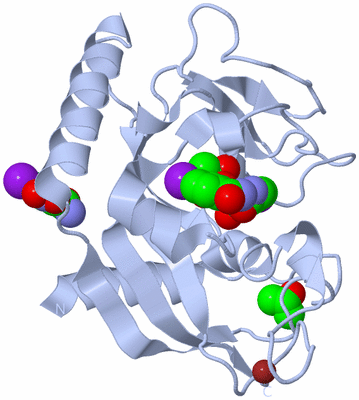 Image Biological Unit 1