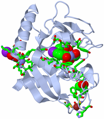 Image Biol. Unit 1 - sites