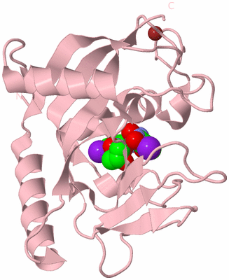 Image Biological Unit 3