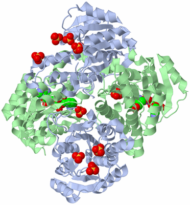 Image Biological Unit 1