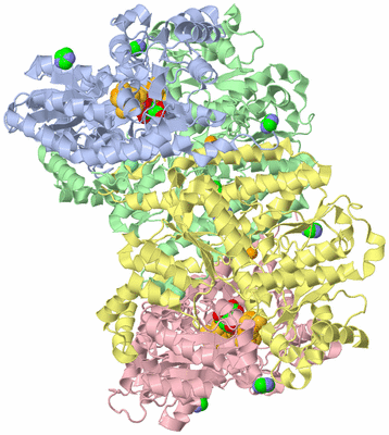 Image Asym./Biol. Unit