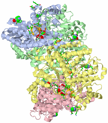 Image Asym./Biol. Unit - sites