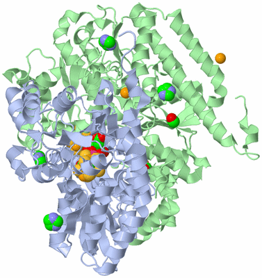 Image Biological Unit 1