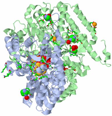 Image Biol. Unit 1 - sites