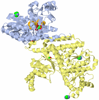 Image Biological Unit 2