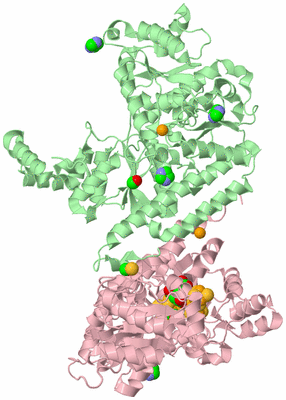 Image Biological Unit 3