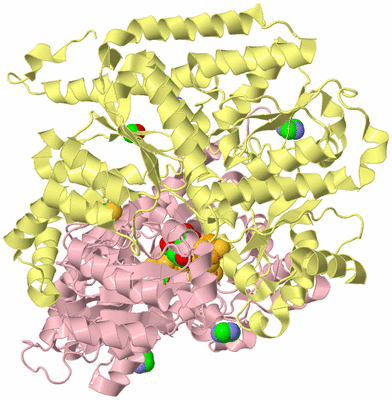 Image Biological Unit 4