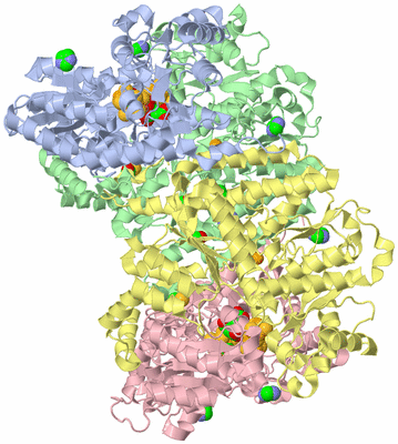 Image Biological Unit 5