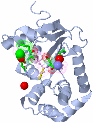 Image Biol. Unit 1 - sites