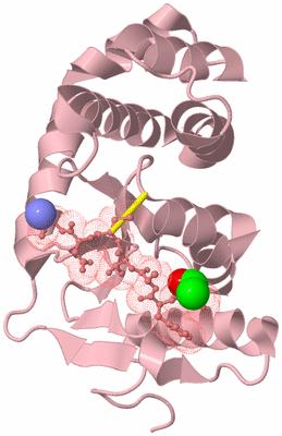 Image Biological Unit 3