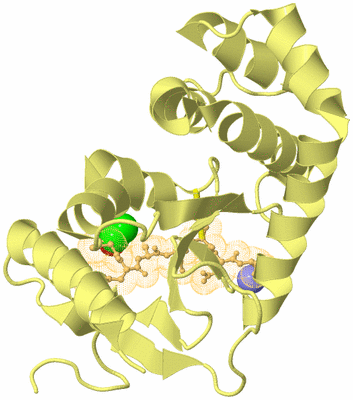 Image Biological Unit 4