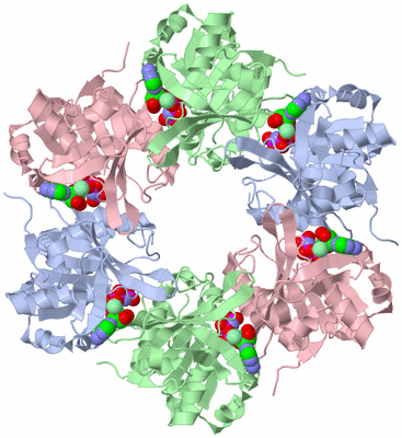 Image Biological Unit 1