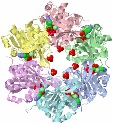 Image Asym./Biol. Unit