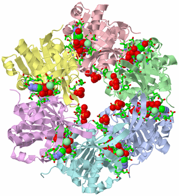 Image Asym./Biol. Unit - sites