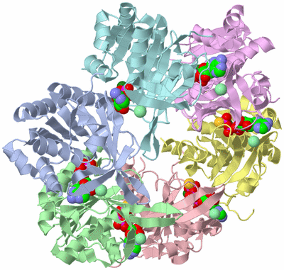 Image Asym./Biol. Unit