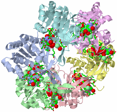 Image Asym./Biol. Unit - sites