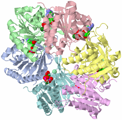 Image Asym./Biol. Unit