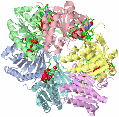 Image Asym./Biol. Unit - sites