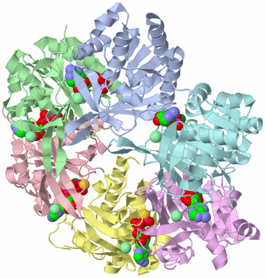 Image Asym./Biol. Unit