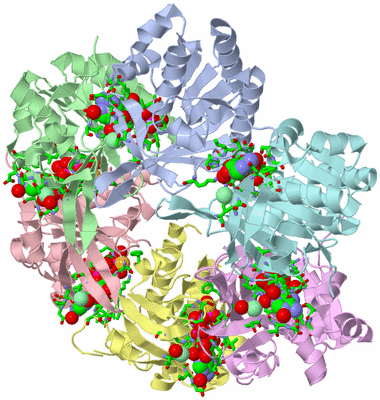 Image Asym./Biol. Unit - sites