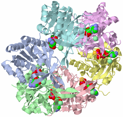 Image Asym./Biol. Unit