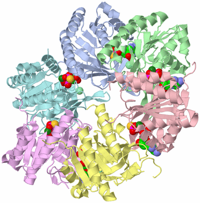 Image Asym./Biol. Unit