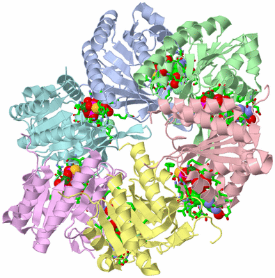 Image Asym./Biol. Unit - sites