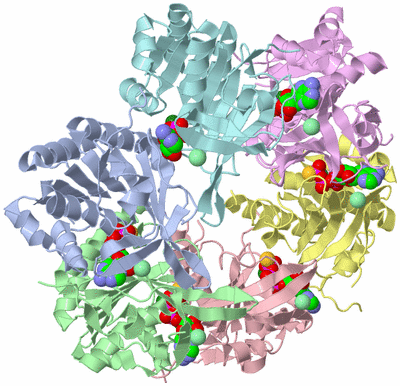 Image Asym./Biol. Unit