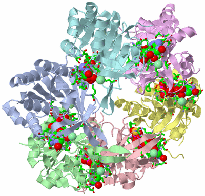 Image Asym./Biol. Unit - sites