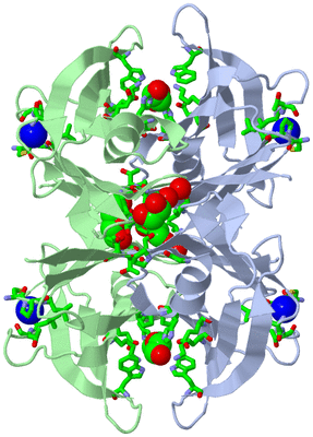 Image Biol. Unit 1 - sites