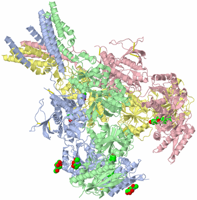 Image Asym./Biol. Unit