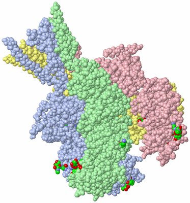 Image Asym./Biol. Unit - sites