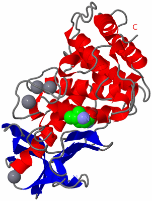 Image Asym./Biol. Unit